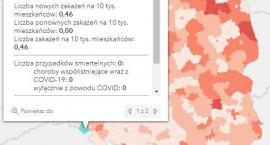 Koronawirus - statystyka - powiat kamiennogórski - 6&hellip;
