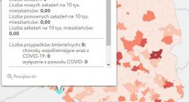 Koronawirus - statystyka - powiat kamiennogórski - 2&hellip;