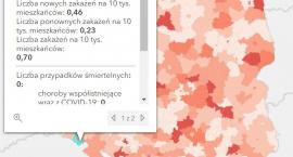 Koronawirus - statystyka - powiat kamiennogórski - 2&hellip;