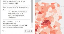 Koronawirus - statystyka - powiat kamiennogórski - 1&hellip;