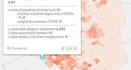 Koronawirus - statystyka - powiat kamiennogórski - 1&hellip;