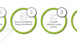zziemi.pl