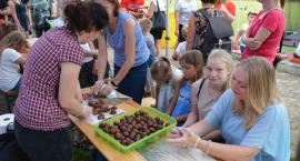 Czekoladowa fiesta