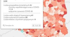 Koronawirus - statystyka - powiat kamiennogórski - 2&hellip;