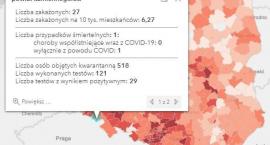 Koronawirus - statystyka - powiat kamiennogórski - 9.4.2021.