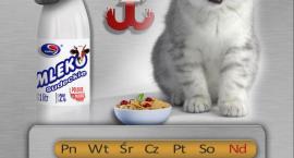 Kontrowersyjny kalendarz