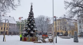 Kamiennogórska choinka