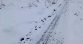 Intensywne opady śniegu
