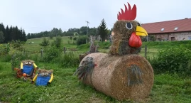 Mimionki w Pustelniku