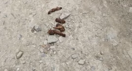 Kamienna Góra tonie w g*wnach i w śmieciach