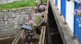 Zniszczone donice w Kamiennej Górze