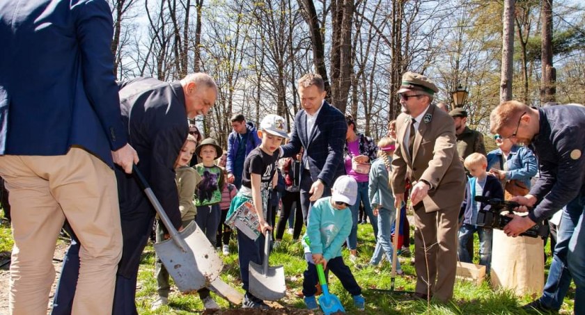 Dąb Papieski w Żywieckim parku
