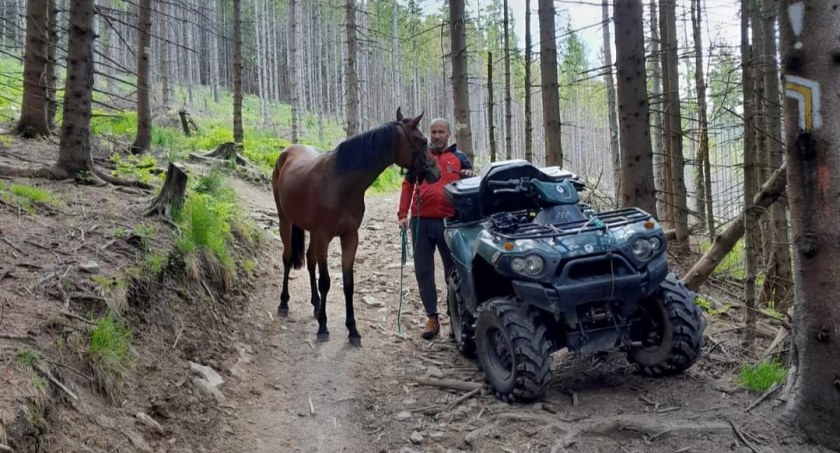 Koń na szlaku na Babią Górę/aktualizacja