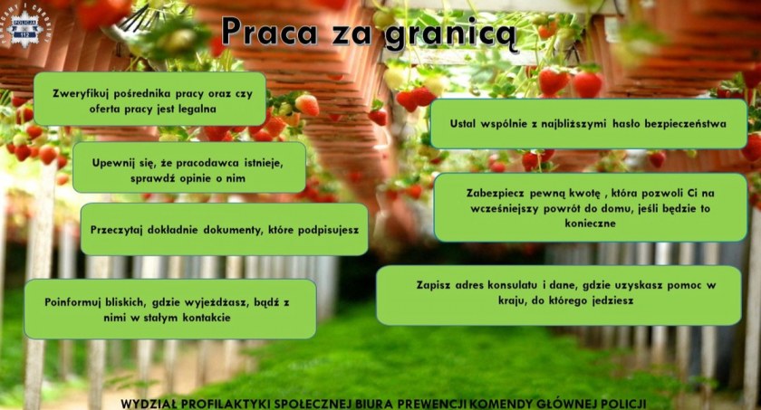 Praca zagranicą. Zadbaj o swoje bezpieczeństwo 