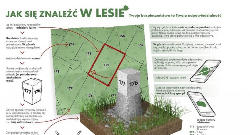 Bezpieczne grzybobranie 