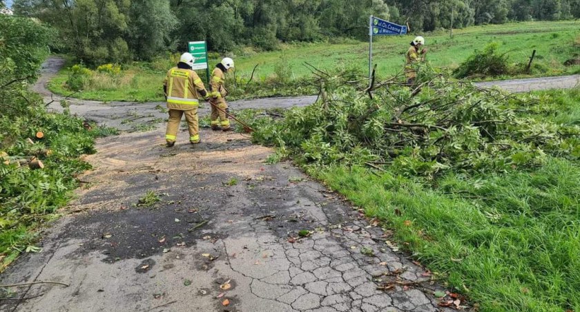 Strażacy mają pełne ręce roboty po wczorajszej nocy