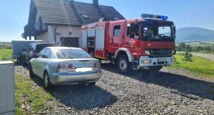 Strażacy walczyli z owadami
