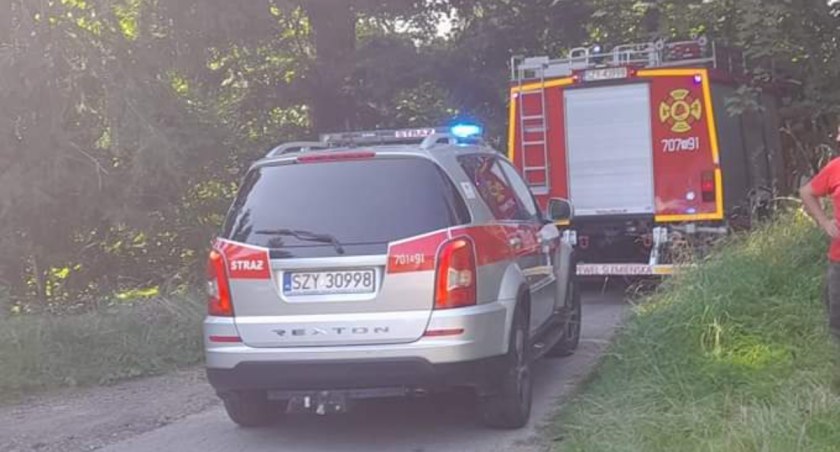 Próba samobójcza