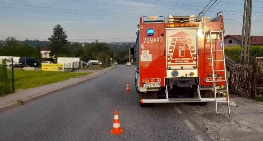 Walka strażaków z owadami 