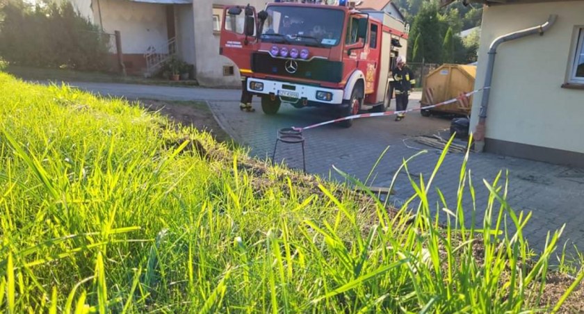 Walka strażaków z szerszeniami