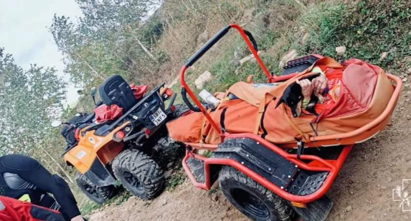 Bohaterska interwencja GOPR na trasie rowerowej w Beskidach: Ratowanie rowerzysty i jego wiernego psa