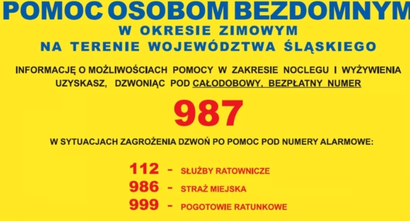 Pomoc osobom w bezdomnym
