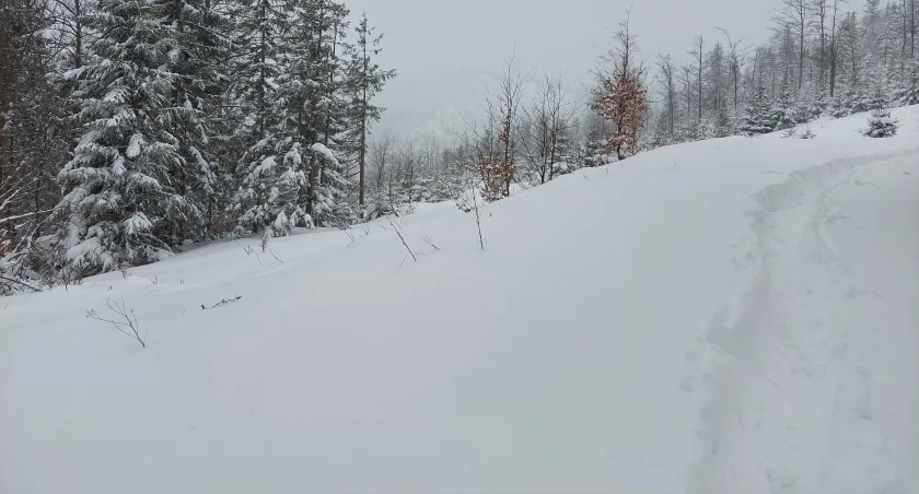 Trudne warunki na drogach 