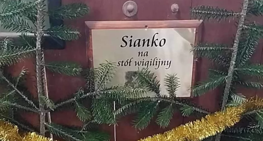 Sianko na stół wigilijny w mini ZOO