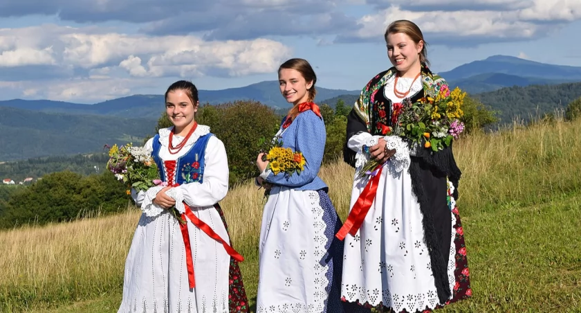Żywiec: Hierarchia społeczna i Klasy Społeczne w Historycznej Społeczności