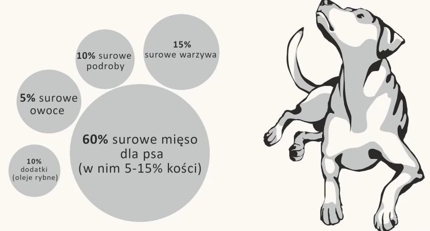 Dieta Barf - jak może pomóc Twojemu psu?