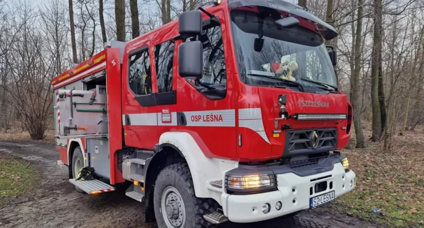 Przez wiatr Straż ma dużo interwencji z powodu powalonych drzew