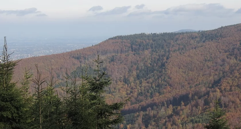 Szyndzielnia - Klejnot Beskidu Śląskiego: Historia, Przyroda i Atrakcje