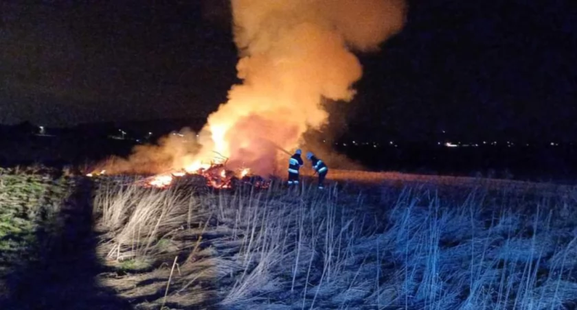 Pożar pozostałości roślinnych w Siennej