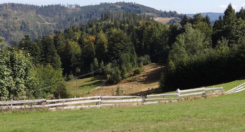 Skała (946 m) – Malowniczy Szczyt w Beskidzie Żywieckim