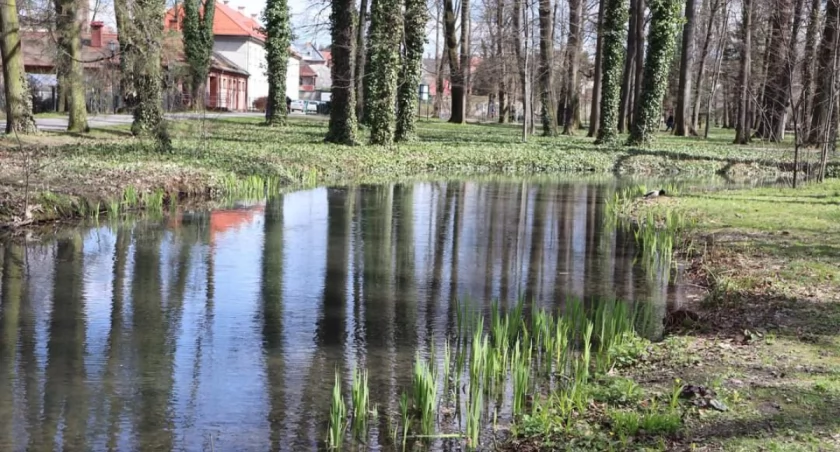 Park w Żywcu poniósł duże straty
