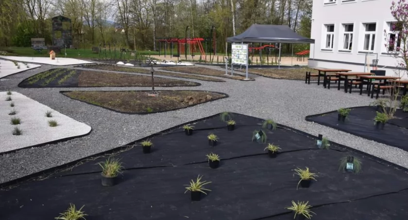 W ramach projektu Ekopraciwnia Pod Chmurką powstaje ogród 