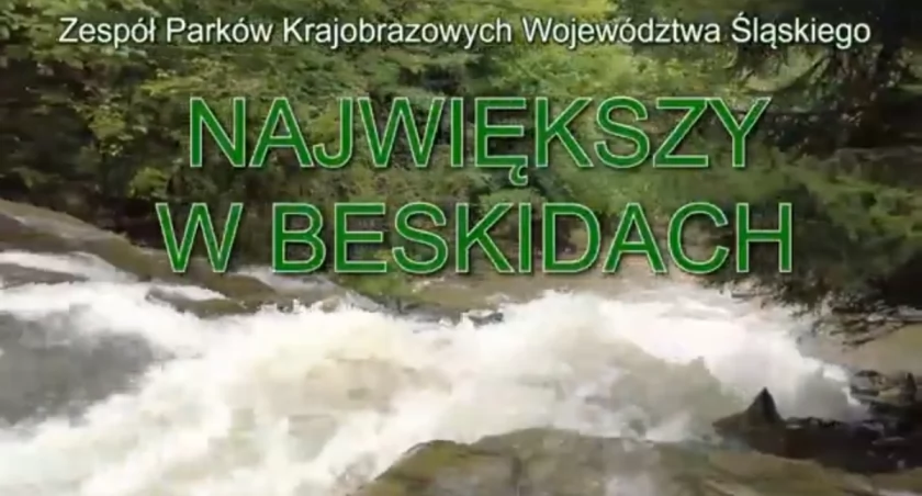 Największy w Beskidach 