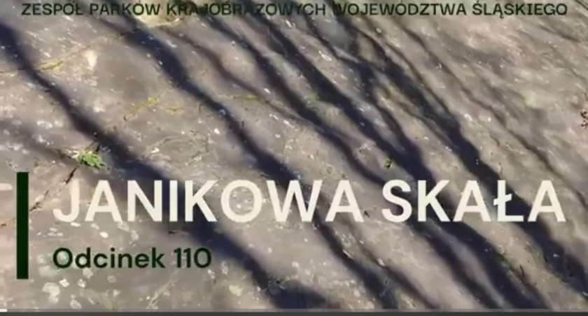 Janikowa Skała