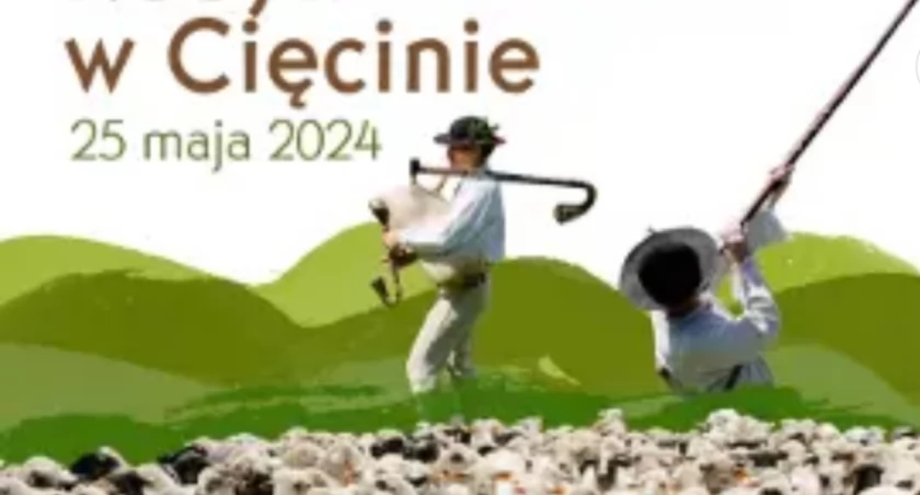 Redyk w Cięcinie 