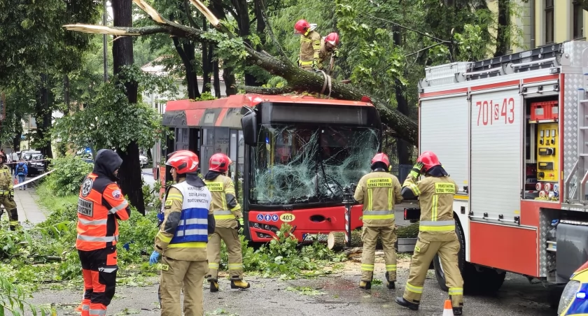 Drzewo przewróciło się na autobus na ul. Powstańców Śląskich 