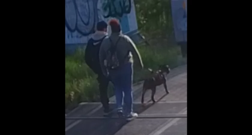 Poszukiwani świadkowie przestępstwa 