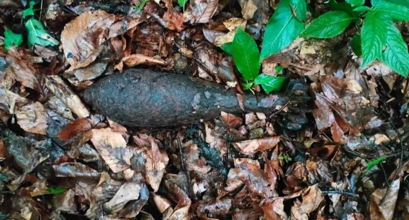 Niebezpieczne znalezisko w Koszarawie 