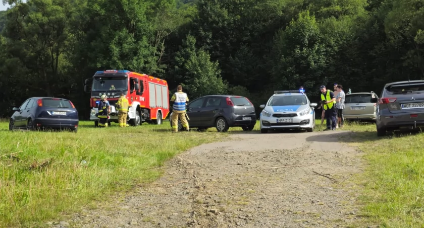 Utrudnienia w ruchu na skrzyżowaniu w Pewli Małej z powodu wypadku