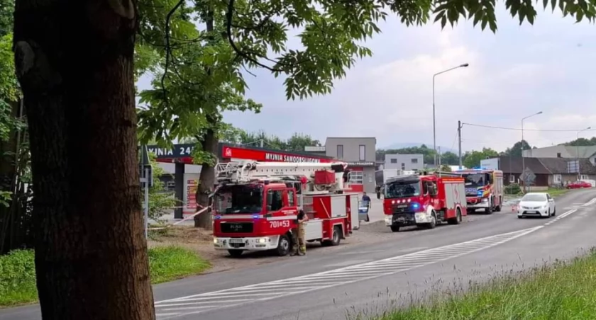  Intensywna wycinka drzew przez straż pożarną na ul. Wesoła w Żywcu