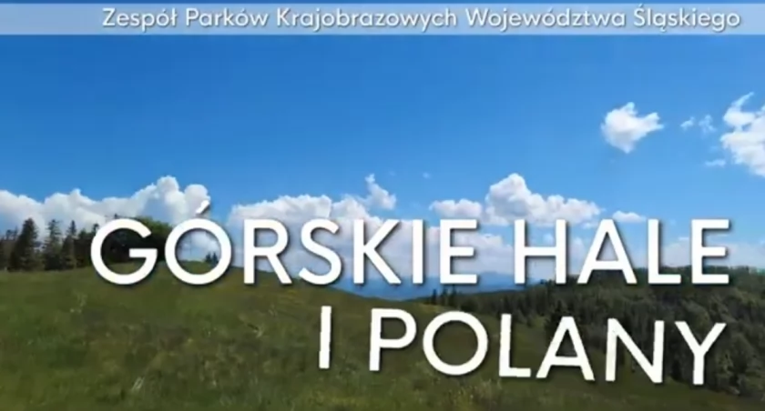 Geneza górskich hal i polan w Beskidzie Żywieckim i Śląskim