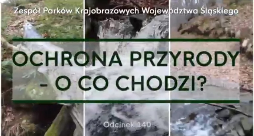 Ochrona przyrody- o co chodzi (video)