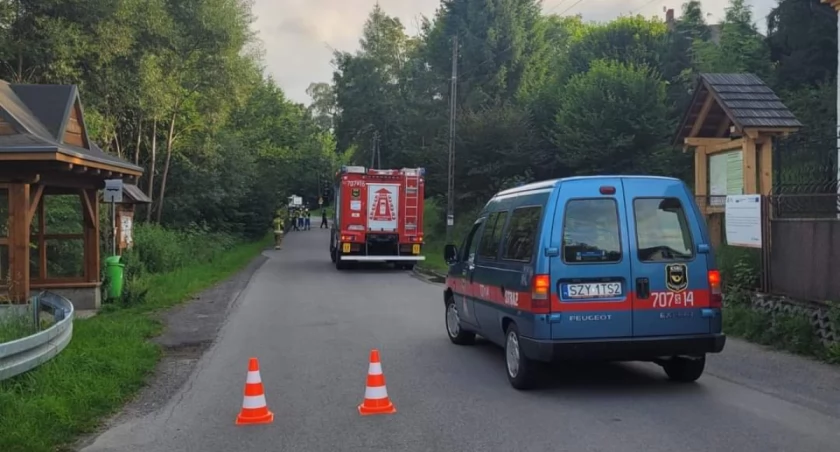 Usunięcie drzewa pochylonego nad drogą i linią energetyczną
