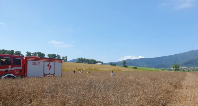 Wypadek lotniczy w Lipowej: Zginął 75-letni pilot