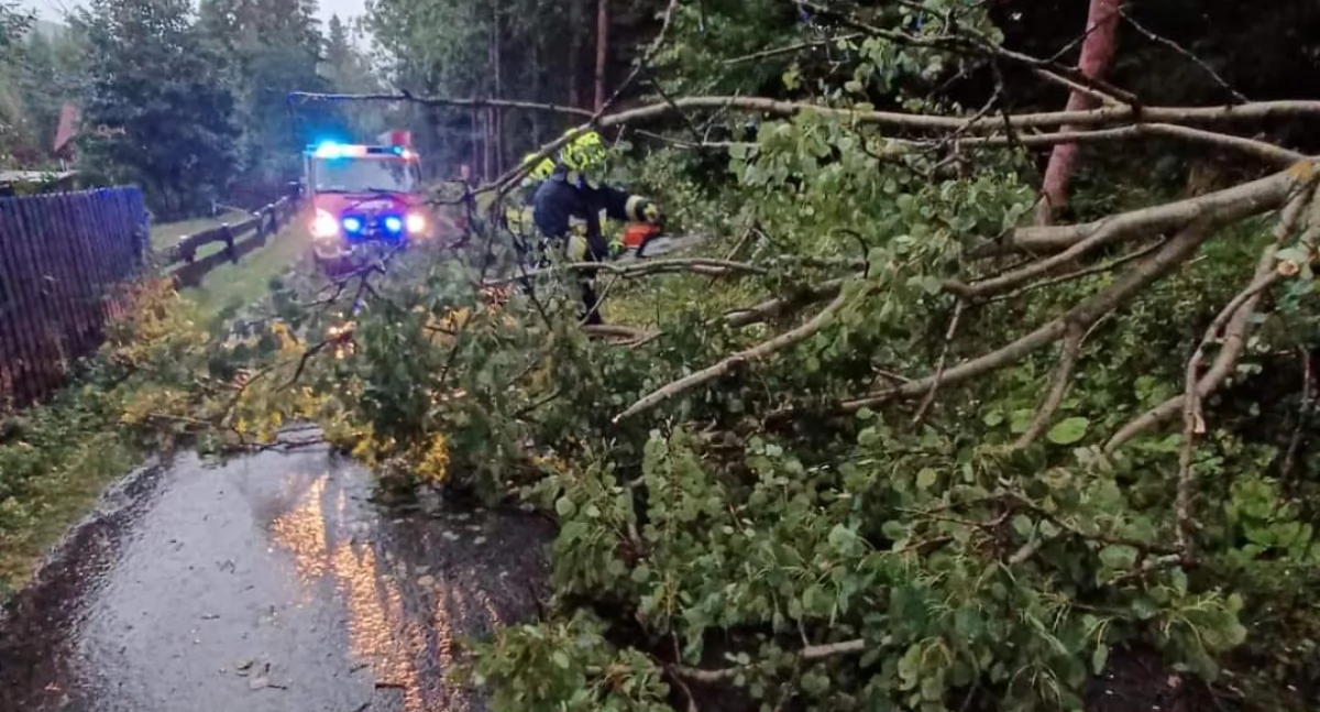 OSP Zwardoń usuwa powalone drzewo w miejscowości