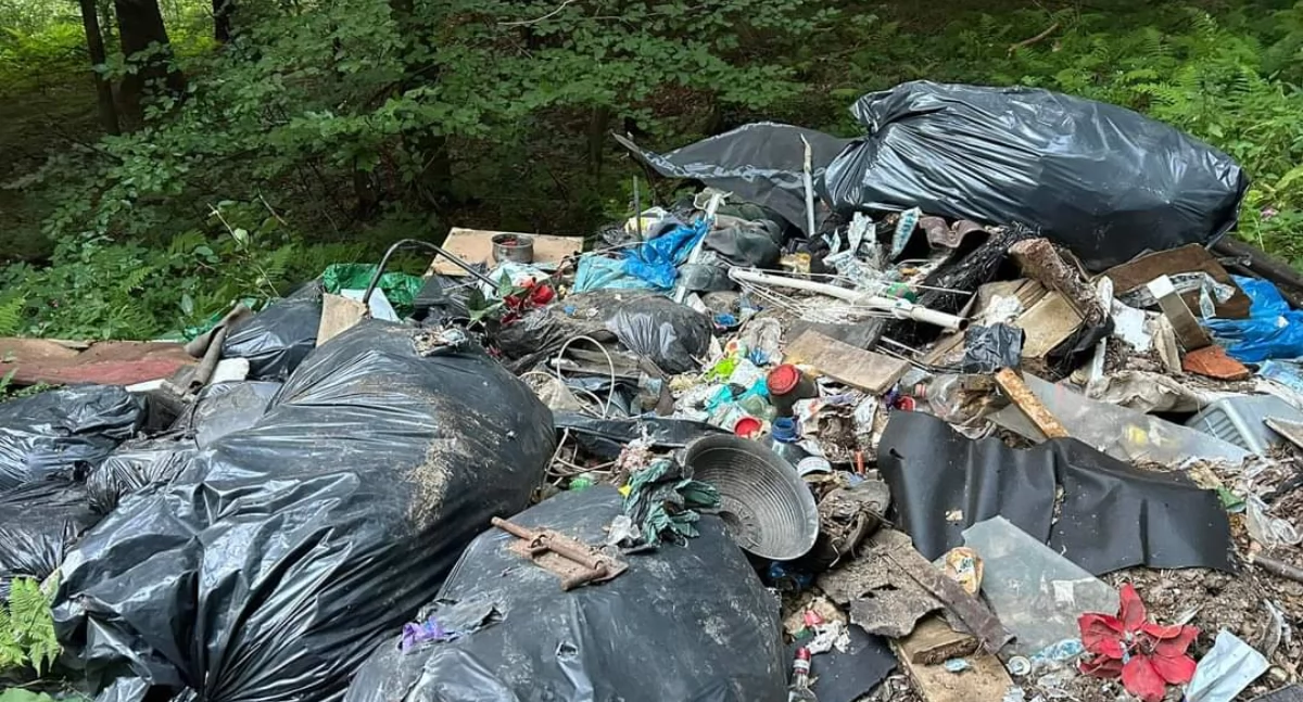 **Skandaliczne Zaśmiecenie w Jeleśni: Sprawca grozi surowa kara